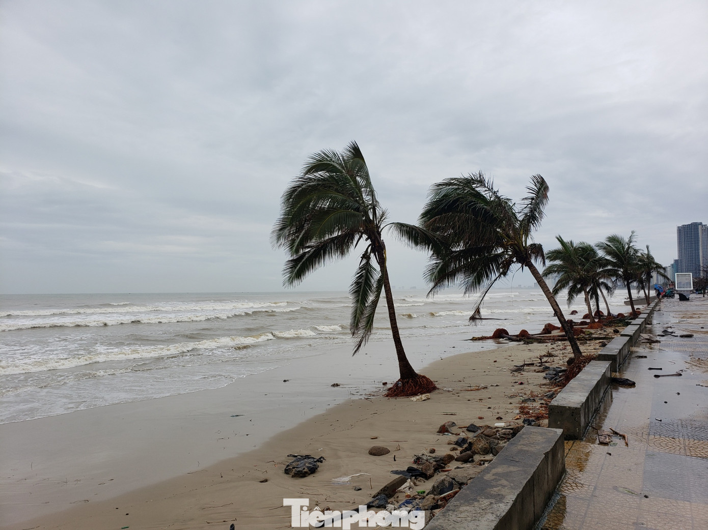 Bờ biển Đà Nẵng ngổn ngang, kè sông sụt lún vì bão số 13 ảnh 12