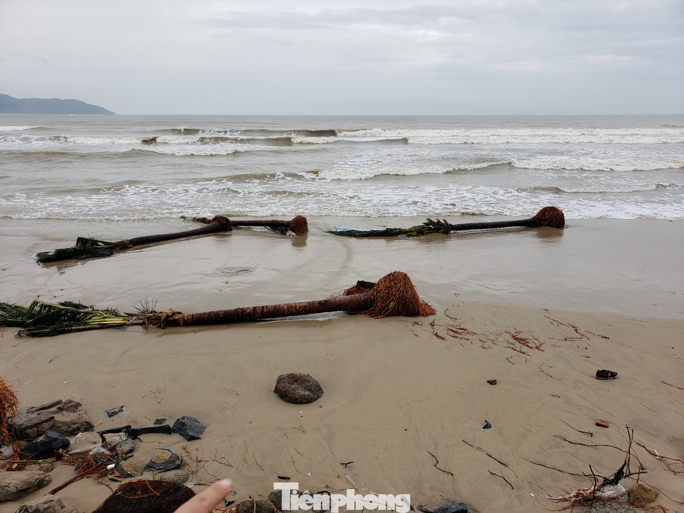 Bờ biển Đà Nẵng ngổn ngang, kè sông sụt lún vì bão số 13 ảnh 13