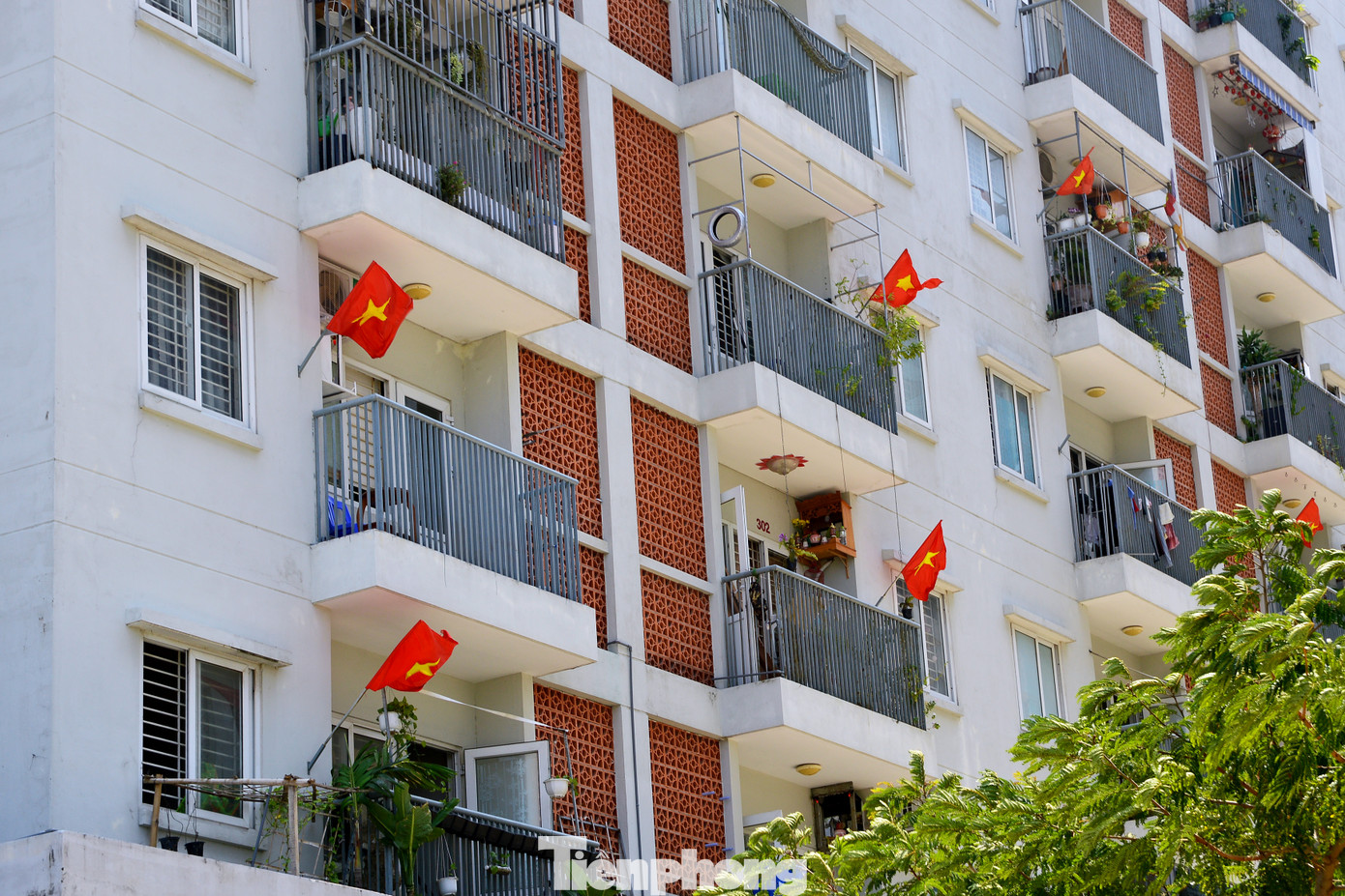 Đà Nẵng bình yên trong Tết độc lập ảnh 10