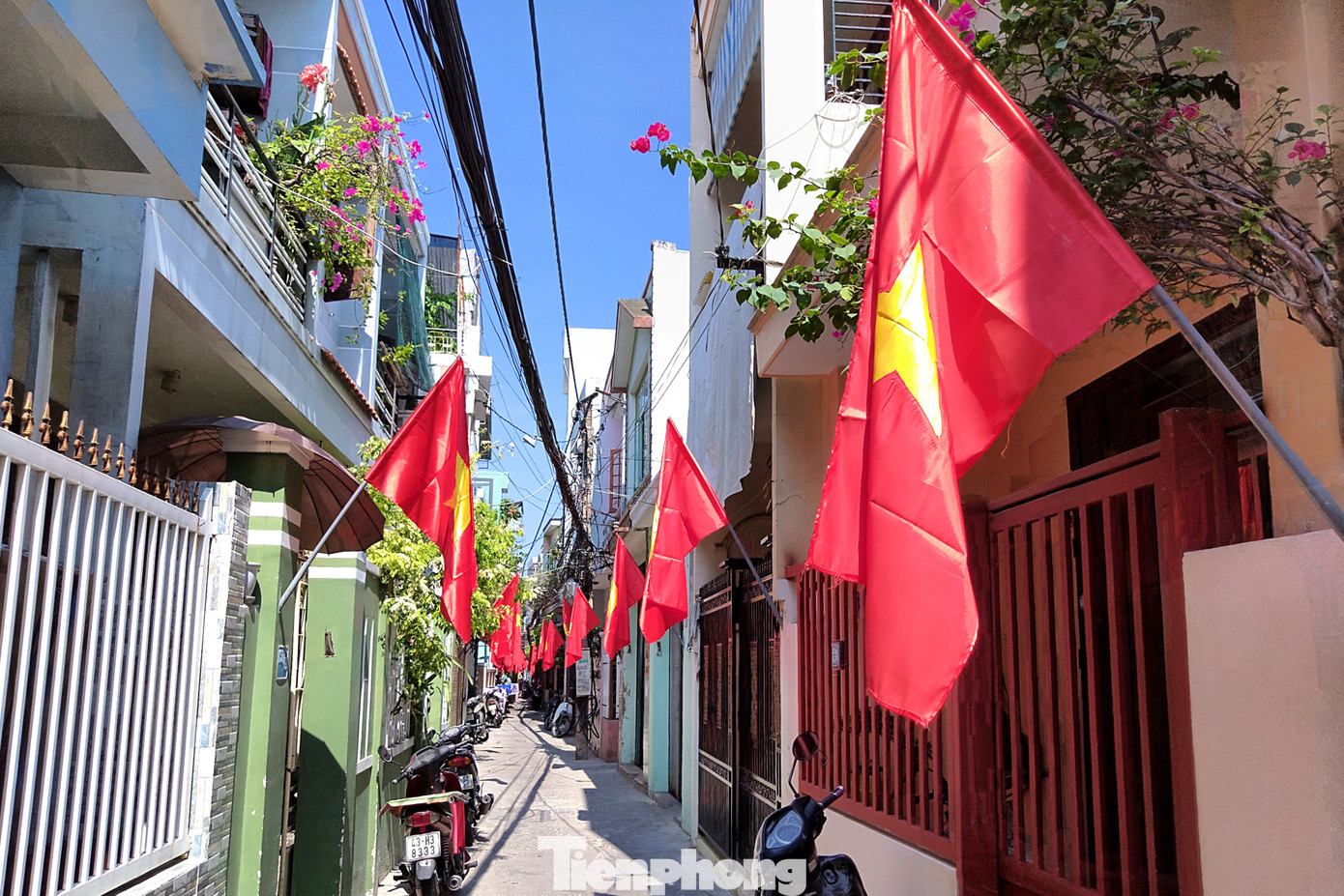 Đà Nẵng bình yên trong Tết độc lập ảnh 8