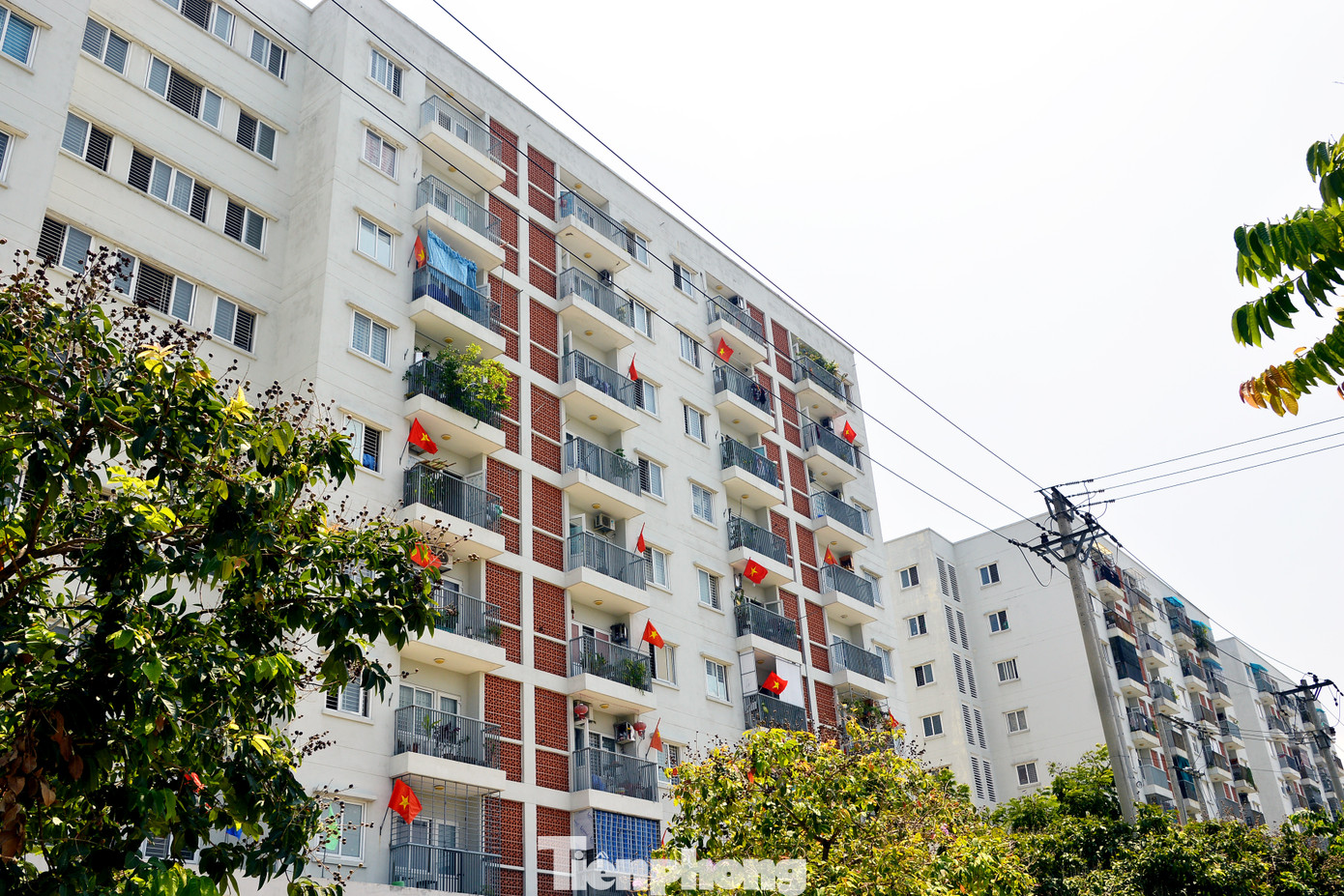 Đà Nẵng bình yên trong Tết độc lập ảnh 9