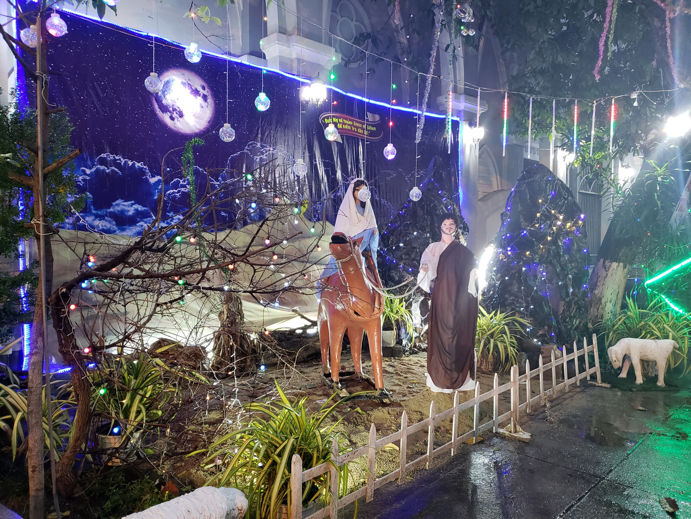 Cả nước tưng bừng đón chào Giáng sinh 2020 ảnh 67