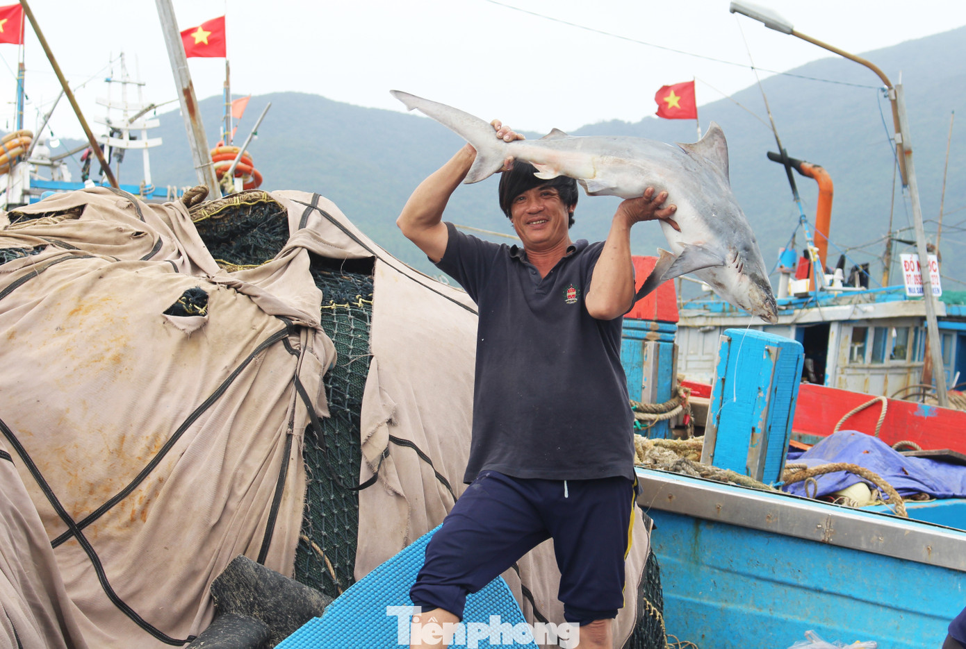 Cận Tết, tàu tấp nập về cảng, cá đầy ắp khoang, giá hải sản chỉ tăng nhẹ ảnh 8