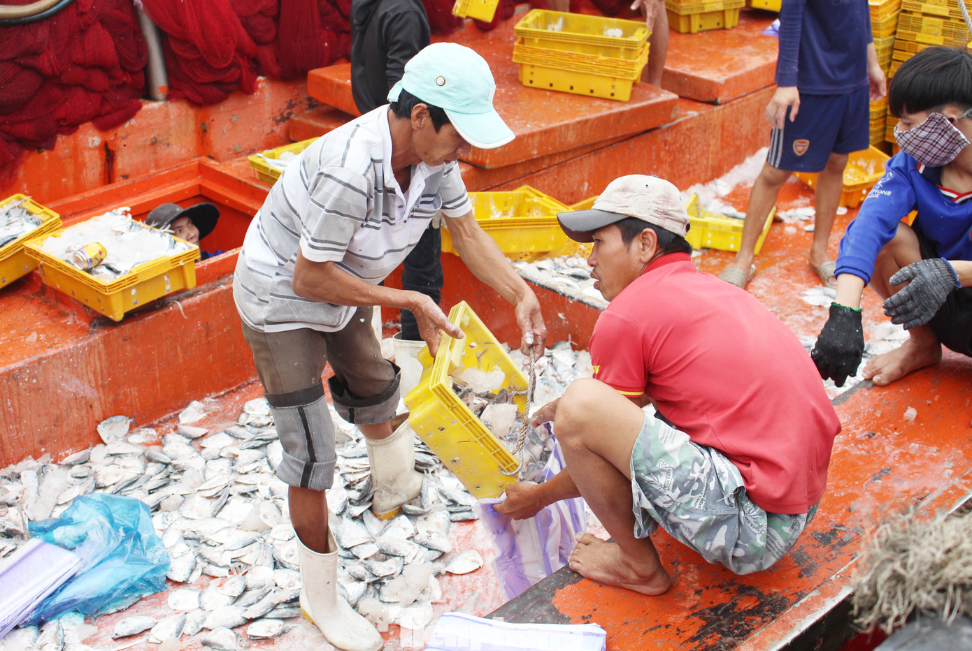 Cận Tết, tàu tấp nập về cảng, cá đầy ắp khoang, giá hải sản chỉ tăng nhẹ ảnh 9