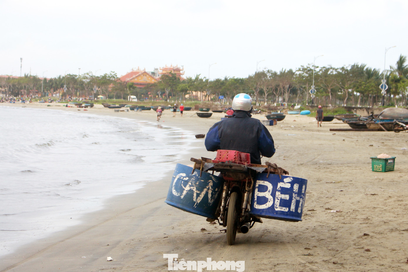 Trúng mùa ruốc biển, ngư dân Đà Nẵng kiếm tiền triệu mỗi ngày ảnh 10