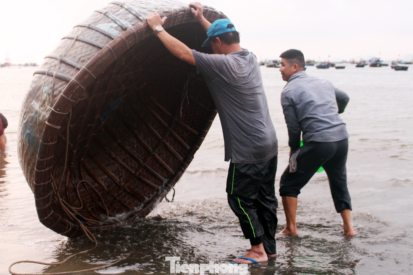 Trúng mùa ruốc biển, ngư dân Đà Nẵng kiếm tiền triệu mỗi ngày ảnh 7