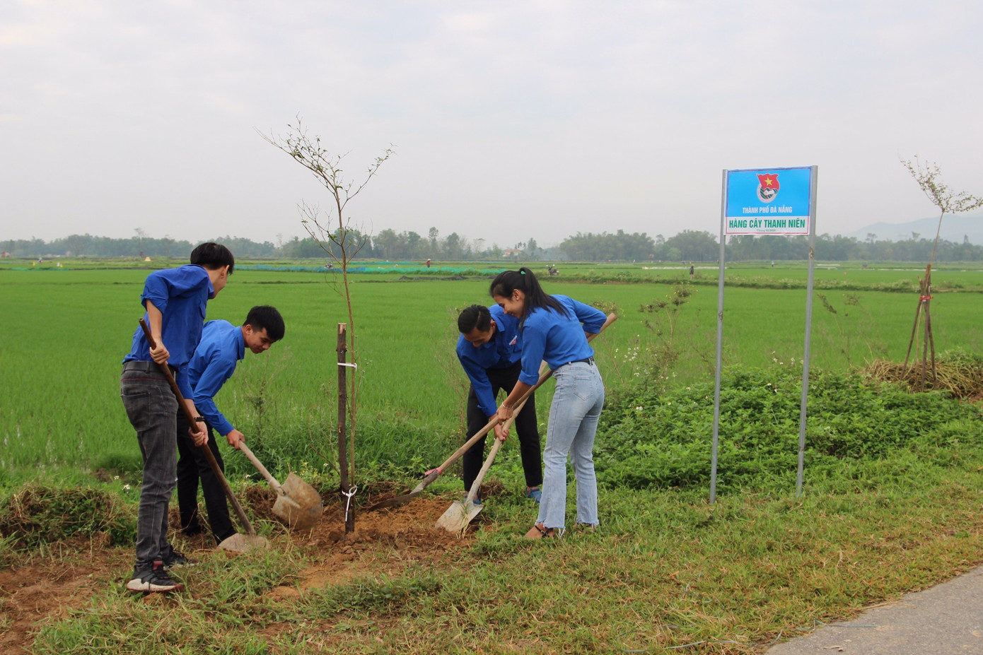 Tuổi trẻ Đà Nẵng ra quân Tết trồng cây Xuân Canh Tý ảnh 1