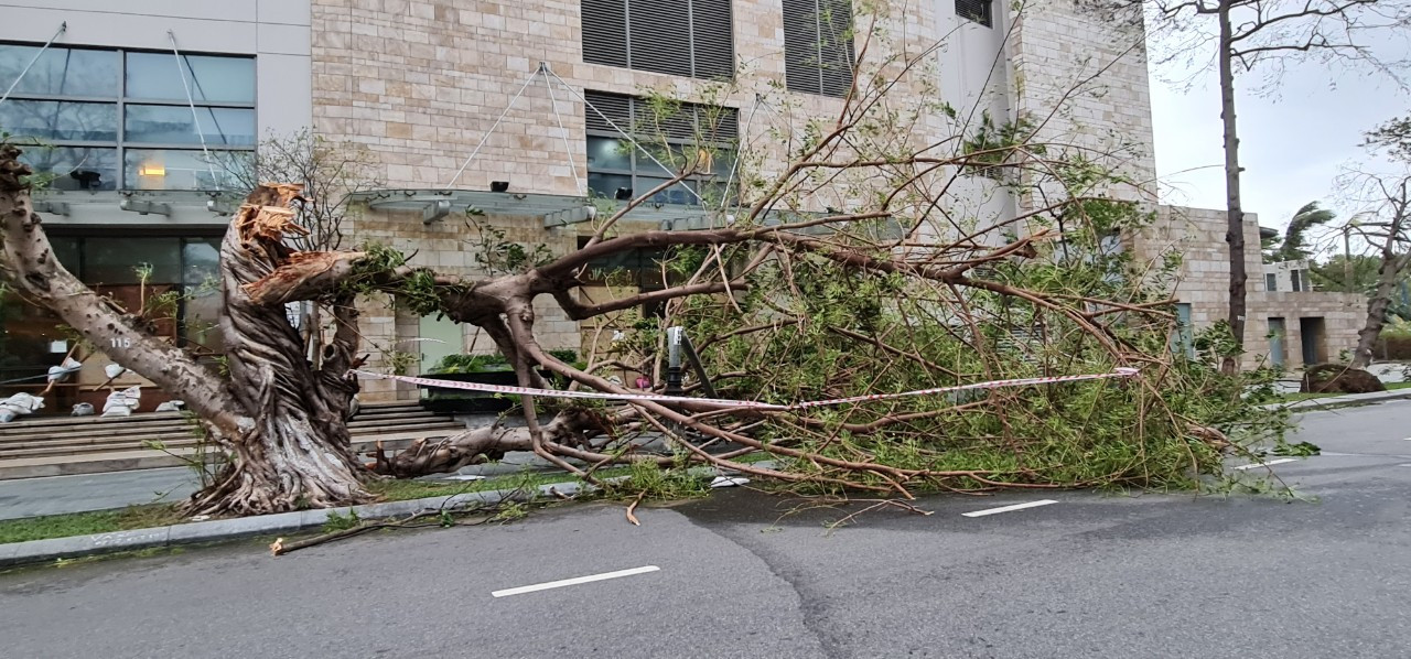 Đà Nẵng ngổn ngang sau bão Molave ảnh 7