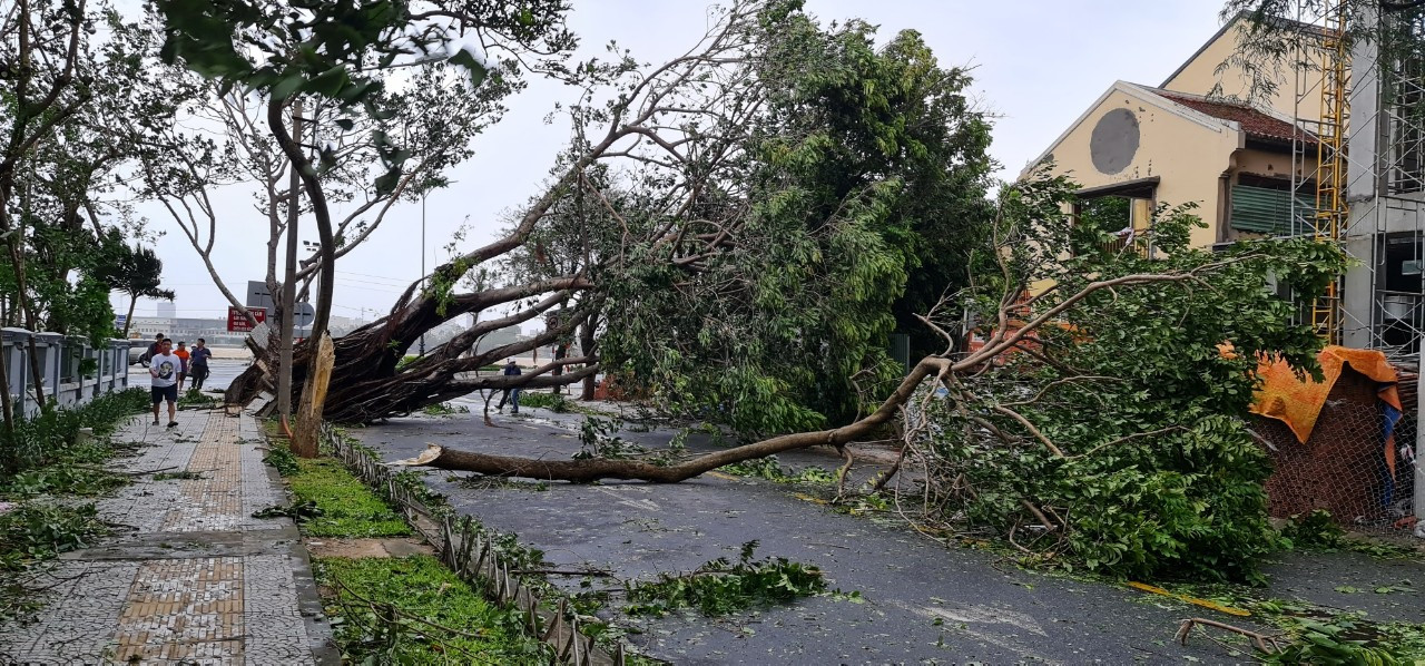 Đà Nẵng ngổn ngang sau bão Molave ảnh 8