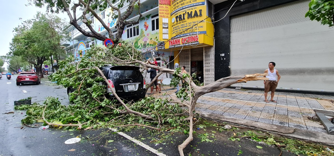Đà Nẵng ngổn ngang sau bão Molave ảnh 4