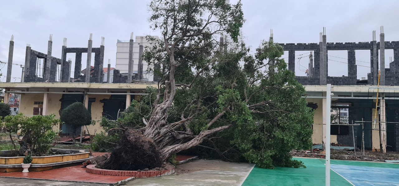 Đà Nẵng ngổn ngang sau bão Molave ảnh 5