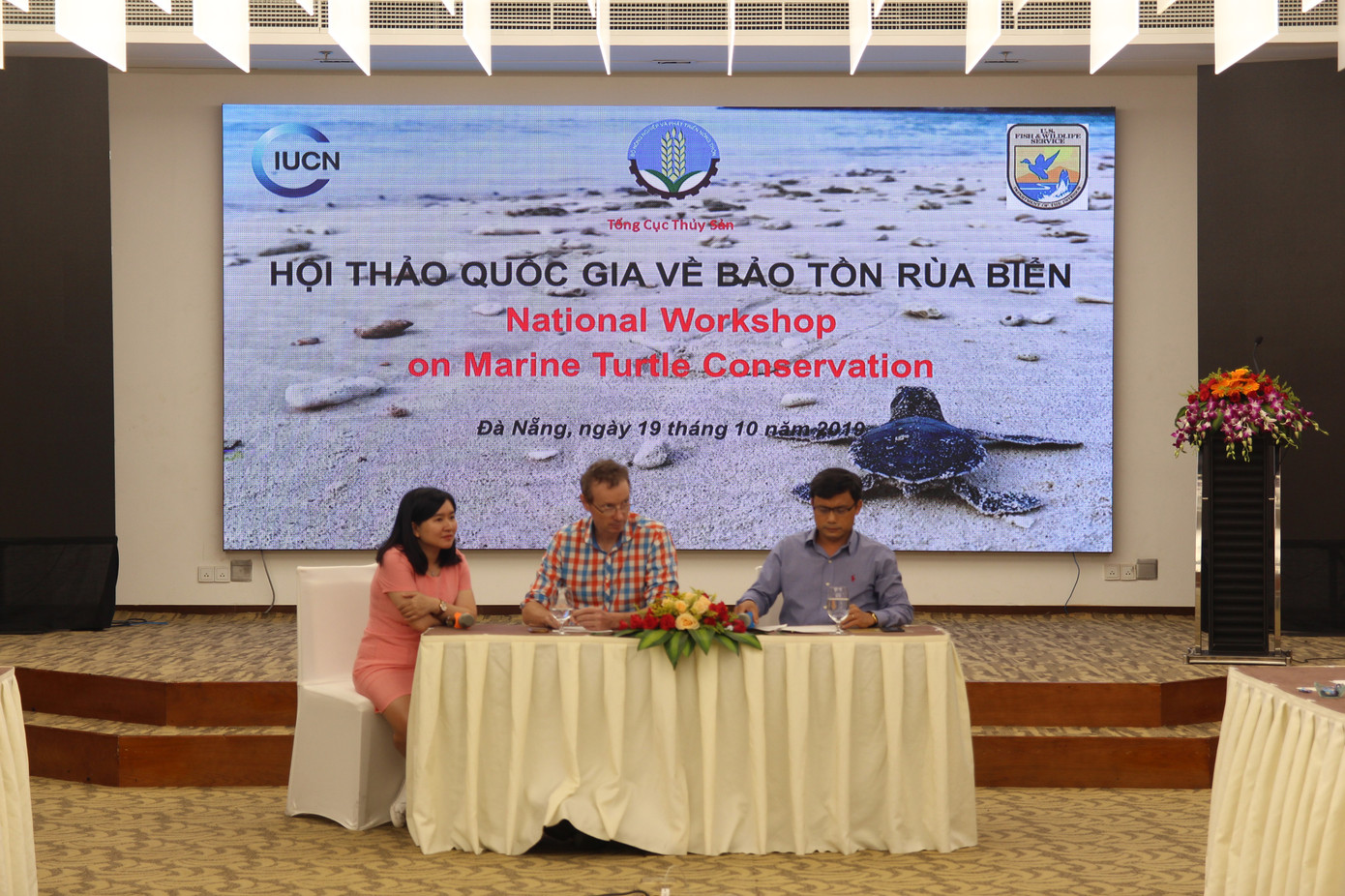 Số lượng rùa lên bãi biển đẻ trứng tại Việt Nam giảm hơn 22 lần ảnh 1