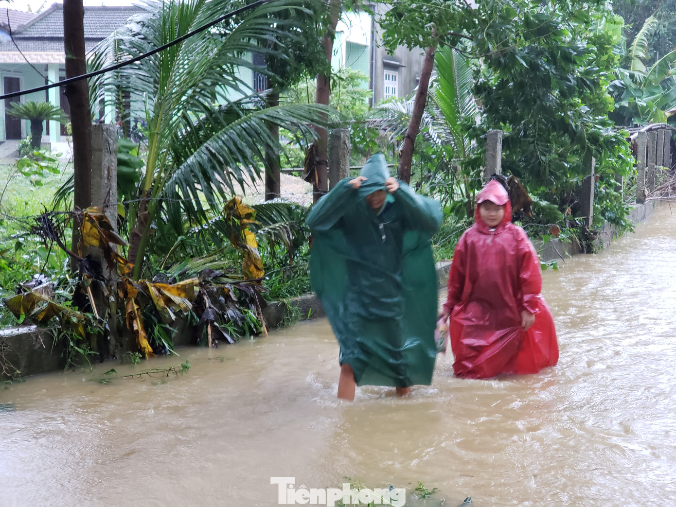 Ngập sâu cả mét, nhiều người Đà Nẵng lội nước, chèo thuyền cả km để đi chợ ảnh 11