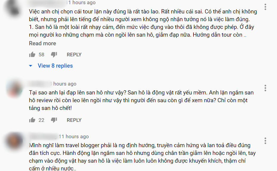 Quang Vinh bị chỉ trích gay gắt về hành động ảnh hưởng tiêu cực đến sinh vật biển ảnh 2