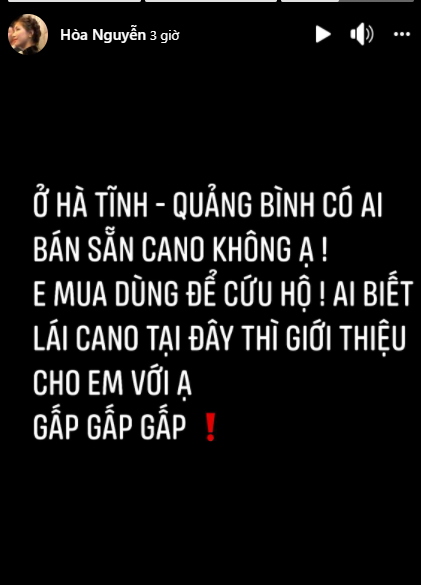 Ấm lòng khi hàng loạt sao Việt đích thân đi cứu trợ người dân miền Trung mùa bão lũ ảnh 3