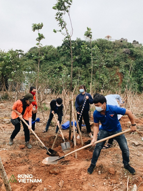 Hà Anh Tuấn thực hiện dự án “Rừng Việt Nam“: Trồng 2 cánh rừng với hơn 1.800 cây xanh ảnh 5