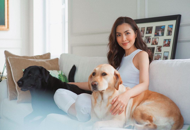 Dàn “boss” siêu cấp đáng yêu của sao Việt, gây ấn tượng nhất là “hậu cung” của Sĩ Thanh ảnh 2