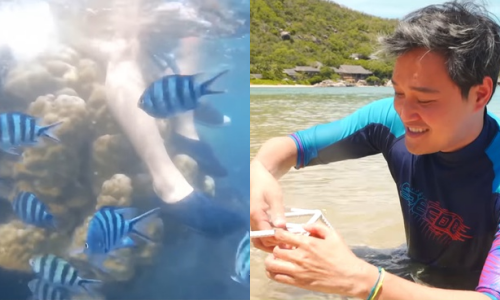 Quang Vinh bị chỉ trích gay gắt về hành động ảnh hưởng tiêu cực đến sinh vật biển ảnh 1