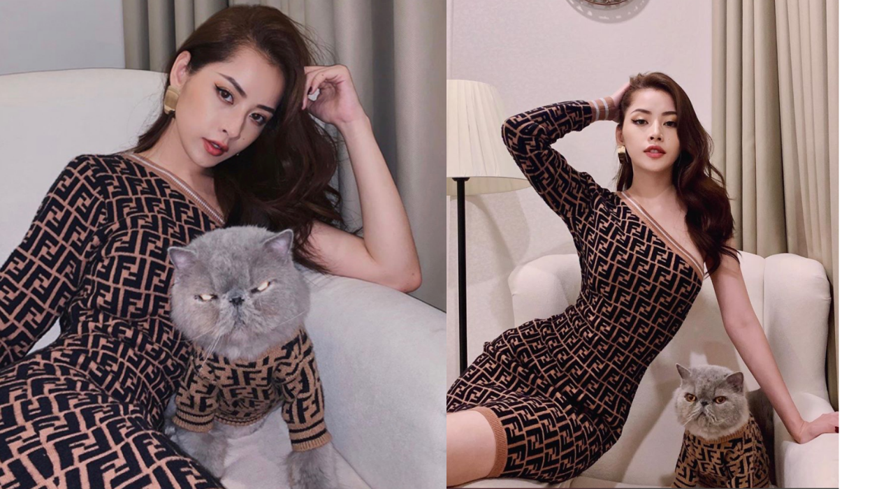 Dàn “boss” siêu cấp đáng yêu của sao Việt, gây ấn tượng nhất là “hậu cung” của Sĩ Thanh ảnh 1