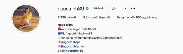 SỐC: Instagram Ngọc Trinh bất ngờ vượt mặt Chi Pu, lấp ló cán mốc Sơn Tùng M-TP ảnh 1