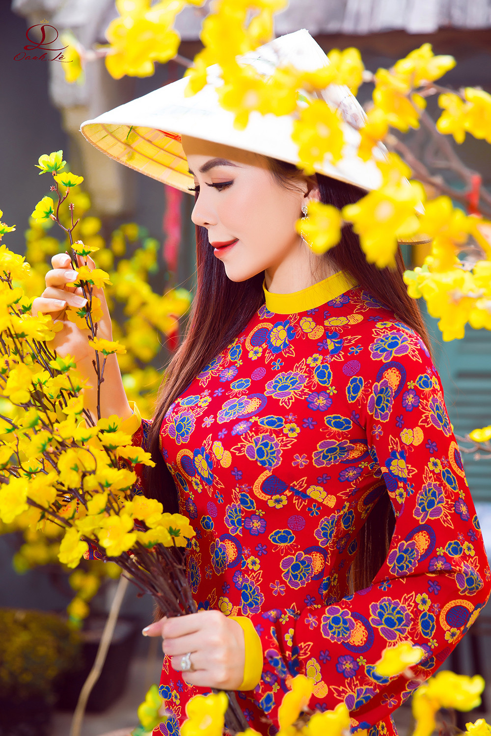 Oanh Lê khoe dáng với áo dài sau khi đăng quang Mrs International World 2019 ảnh 2
