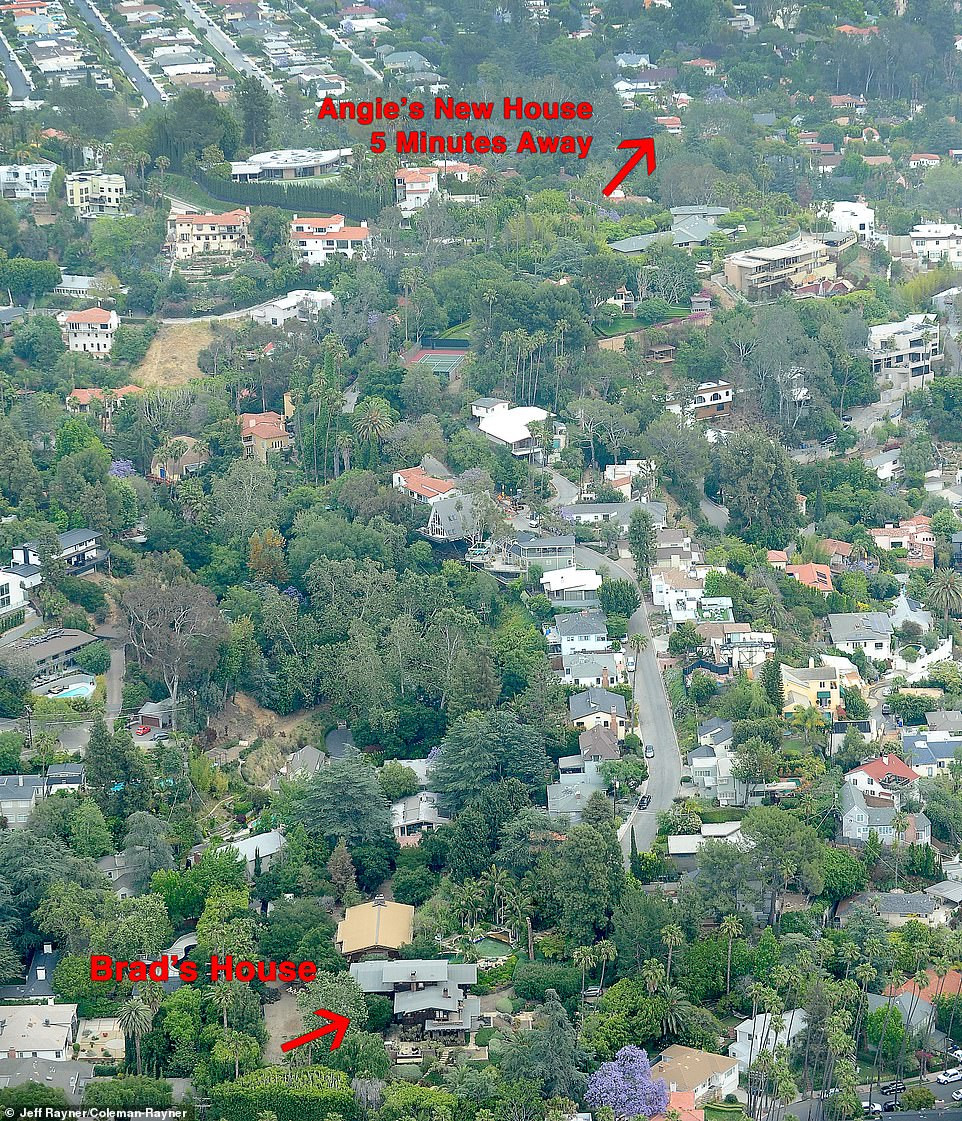 Pax Thiên và những đứa trẻ nhà Jolie-Pitt cách ly tránh COVID-19 ra sao? ảnh 2