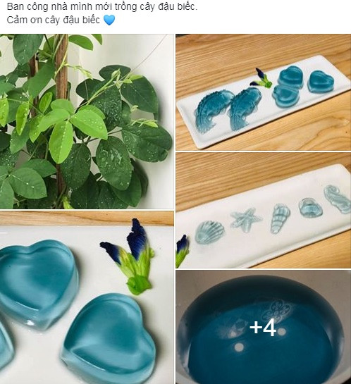 Cách ly ở nhà mùa COVID, mạng xã hội thành 'hội thi khéo tay hay làm' hút dân mạng ảnh 5