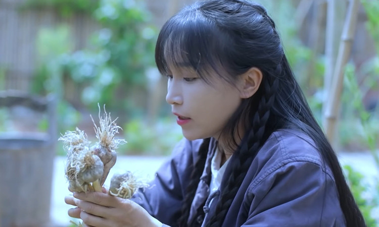 Clip 'tiên nữ đồng quê' Lý Tử Thất tự trồng chế biến các món với tỏi hút triệu view ảnh 1