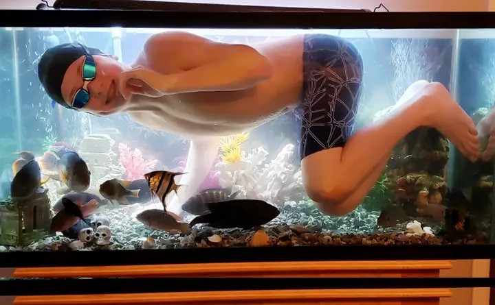 Nghỉ học vì dịch COVID-19, cậu bé bơi tạm... trong bể cá ảnh 1