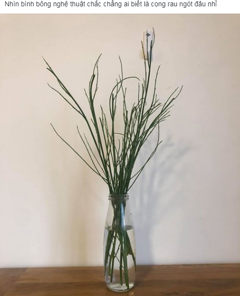 Cười ngất trào lưu khoe ảnh vào bếp 'phiên bản lỗi' gây sốt mạng ảnh 14