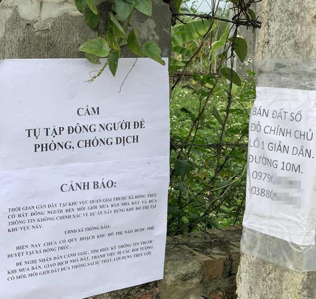 Sau sốt nóng, 'chợ bất động sản' ở Thạch Thất bị chính quyền 'giải tán' ảnh 3