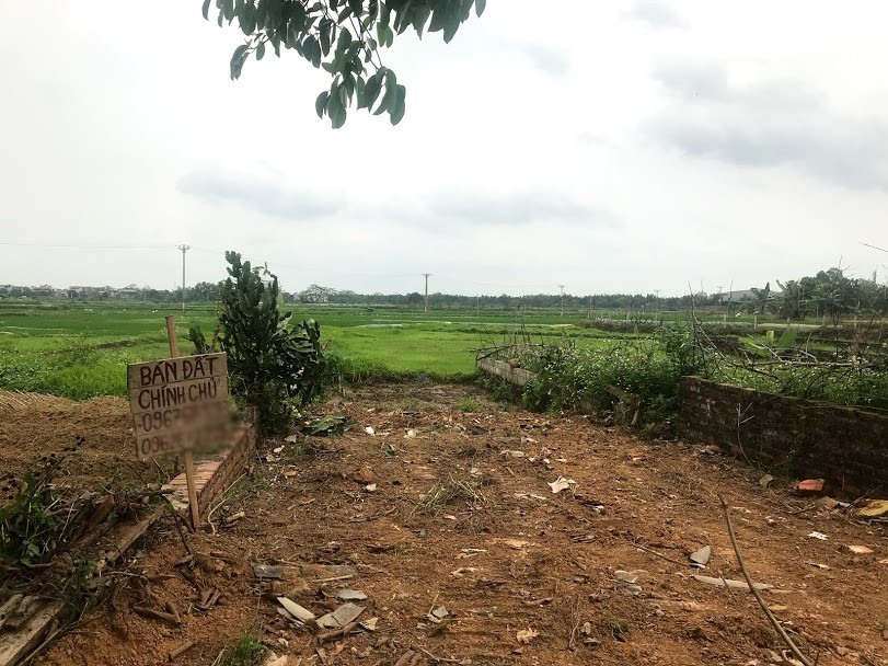 Sau sốt nóng, 'chợ bất động sản' ở Thạch Thất bị chính quyền 'giải tán' ảnh 8