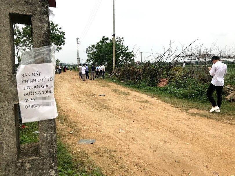 Sau sốt nóng, 'chợ bất động sản' ở Thạch Thất bị chính quyền 'giải tán' ảnh 1