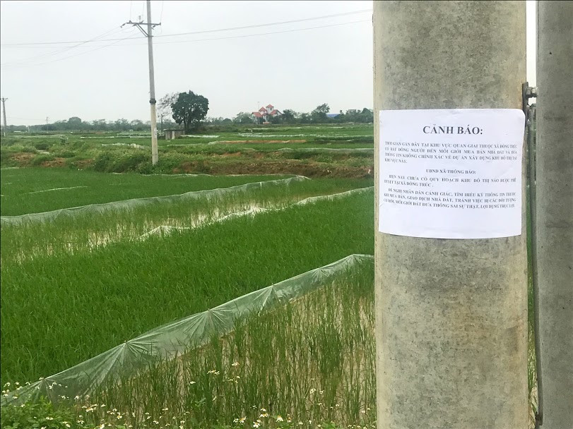 Sau sốt nóng, 'chợ bất động sản' ở Thạch Thất bị chính quyền 'giải tán' ảnh 2