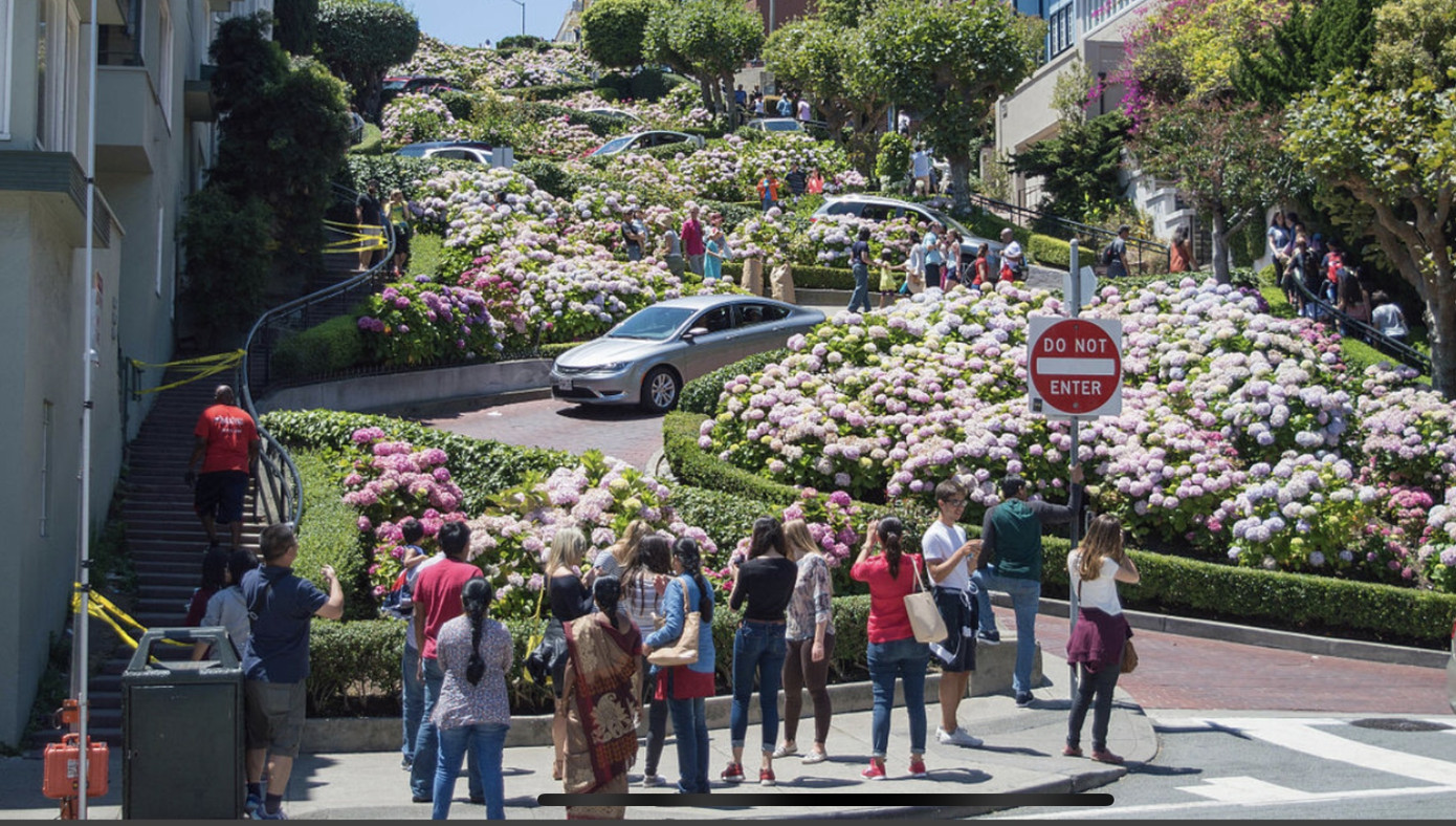 Xem San Francisco, nhớ San Francisco ảnh 2