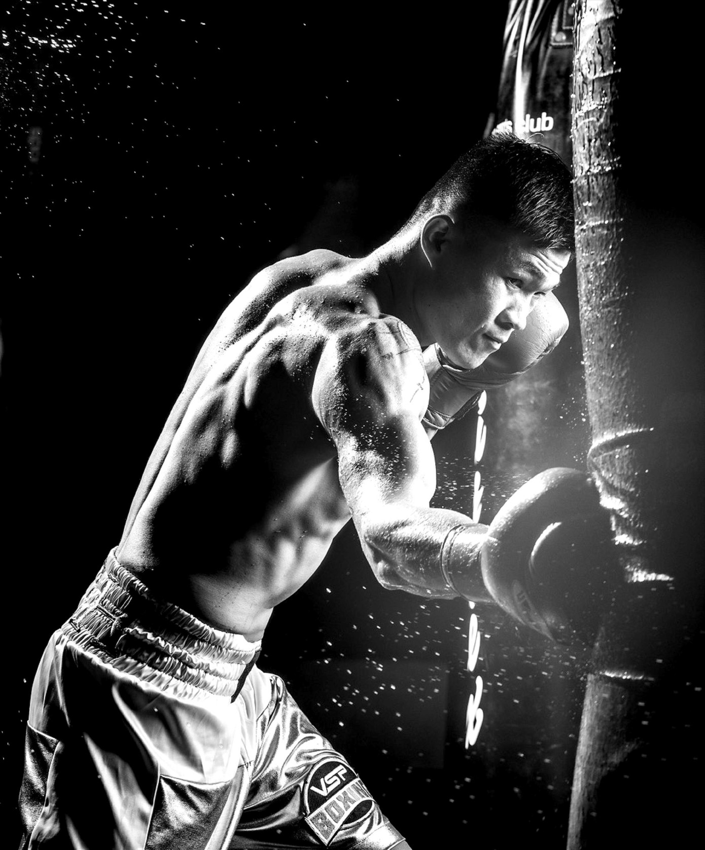 'Tay đấm thép' đất Bazan, chuyện chưa kể ảnh 1