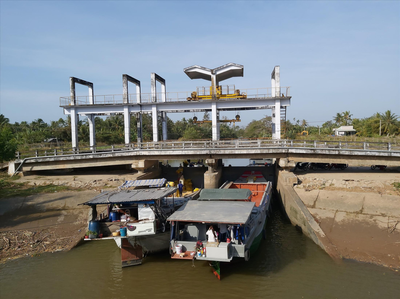 Hàng nghìn hécta lúa nguy cơ mất trắng vì hạn mặn ảnh 1