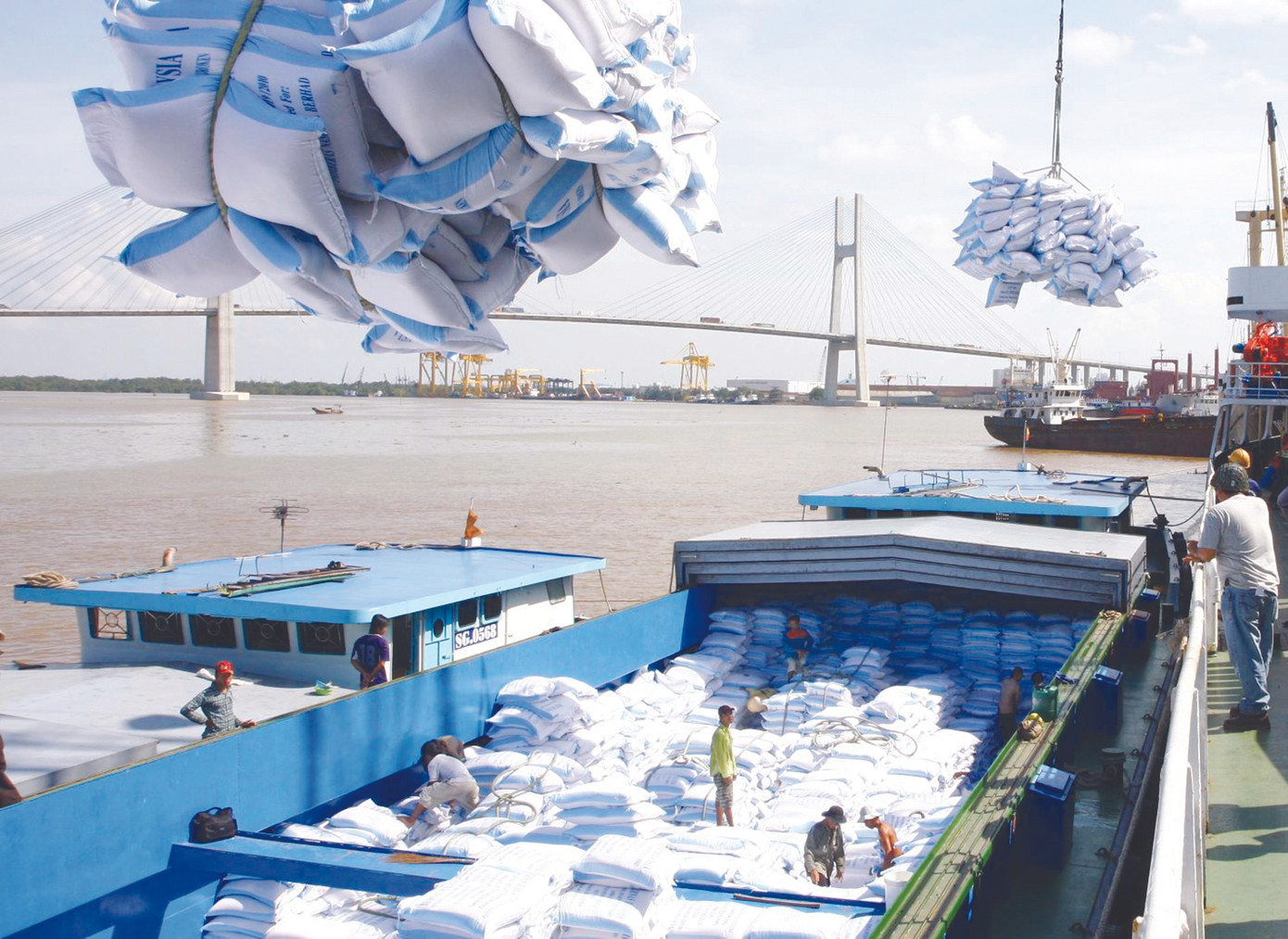 10 Sự kiện tiêu biểu năm 2019 ảnh 2