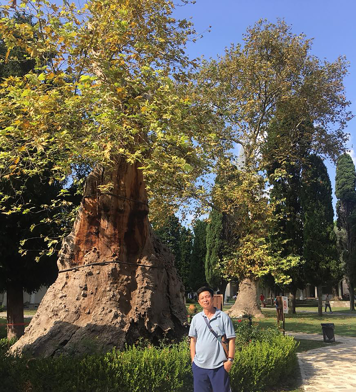 'Mà sau này khác rồi mới thấy' ảnh 1