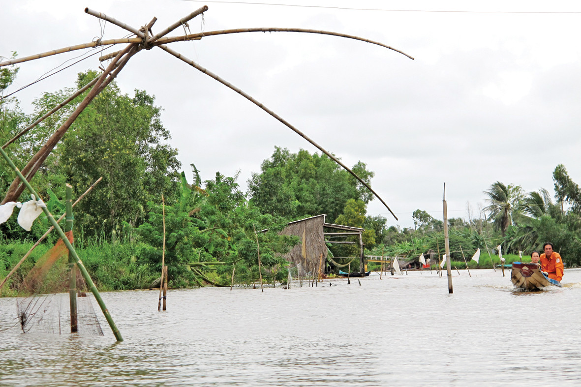 Nhà văn của bất tận cánh đồng ảnh 2
