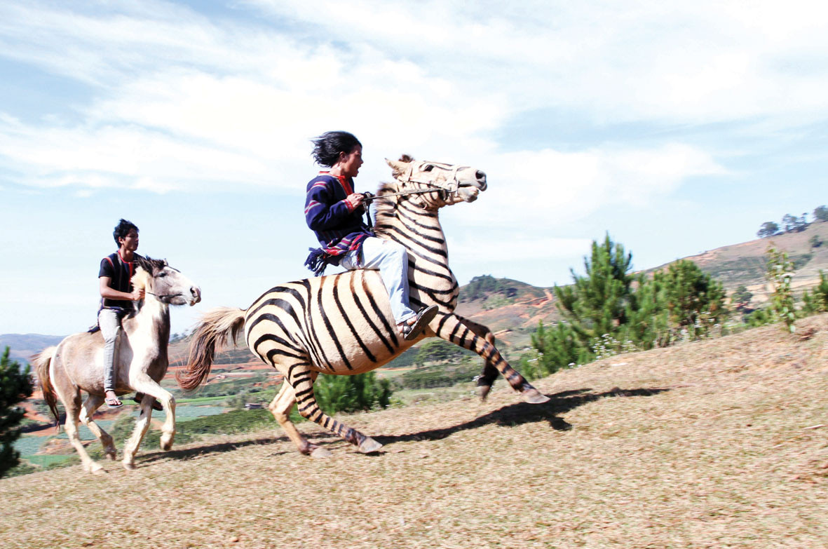 Chinh phục cao nguyên trên lưng ngựa Pha-rô ảnh 2