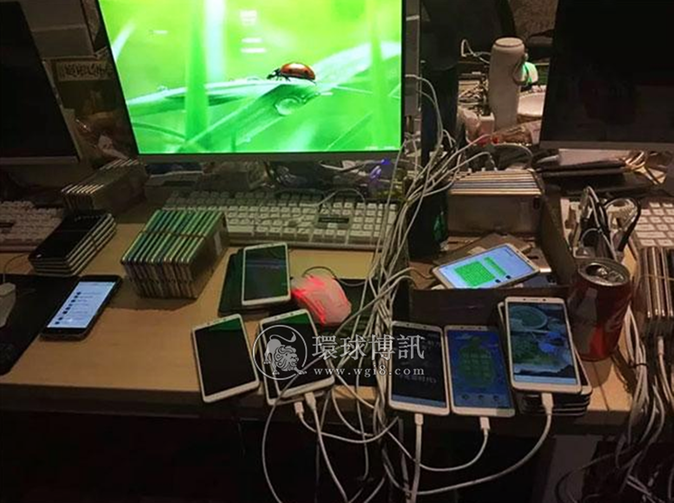 Tội phạm lừa đảo người Trung Quốc đến Mông Cổ ảnh 1