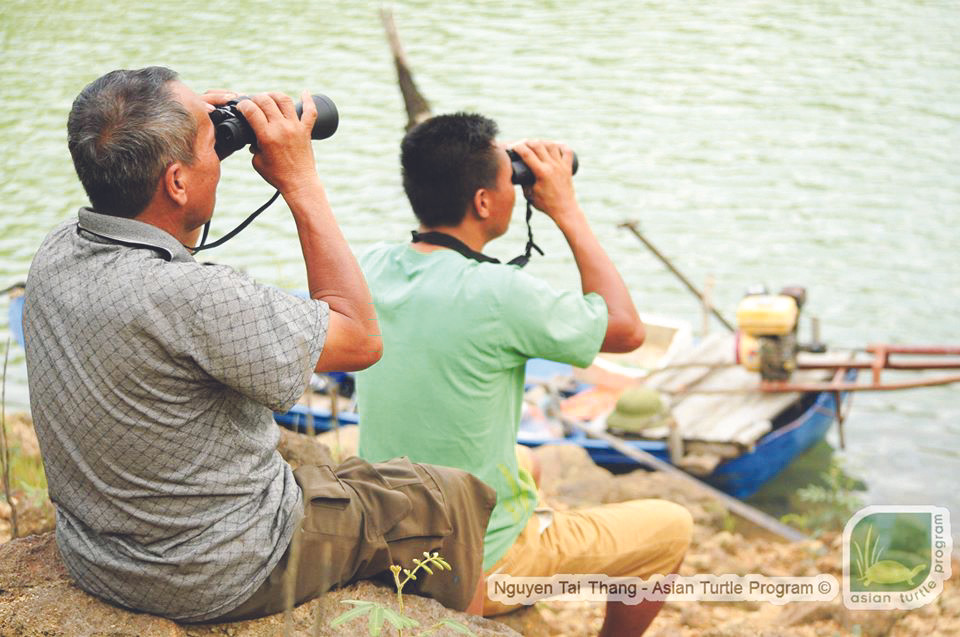 Bí ẩn chưa có lời giải của loài rùa Hoàn Kiếm ảnh 1