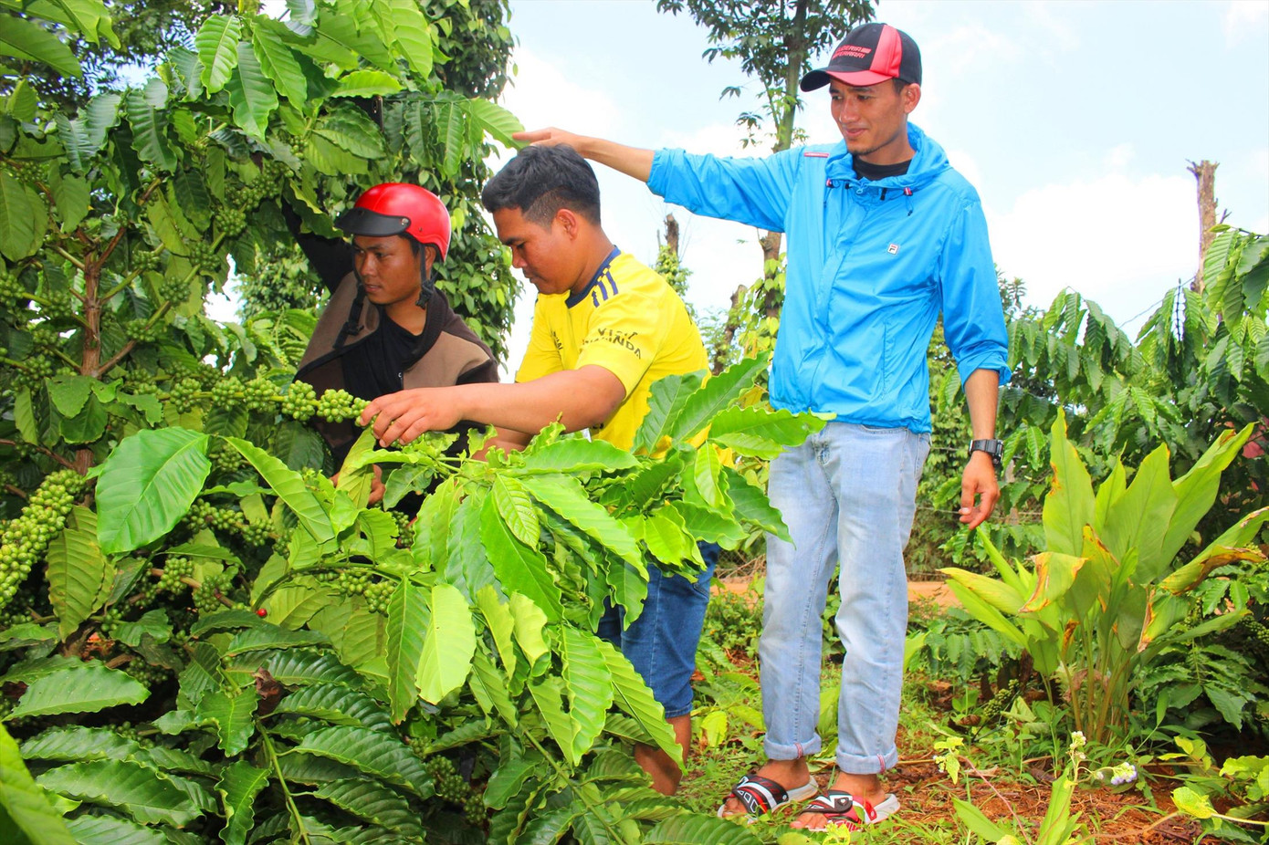 Thủ tướng đề nghị điều tra, truy tố, xét xử nạn sản xuất phân bón giả ảnh 7