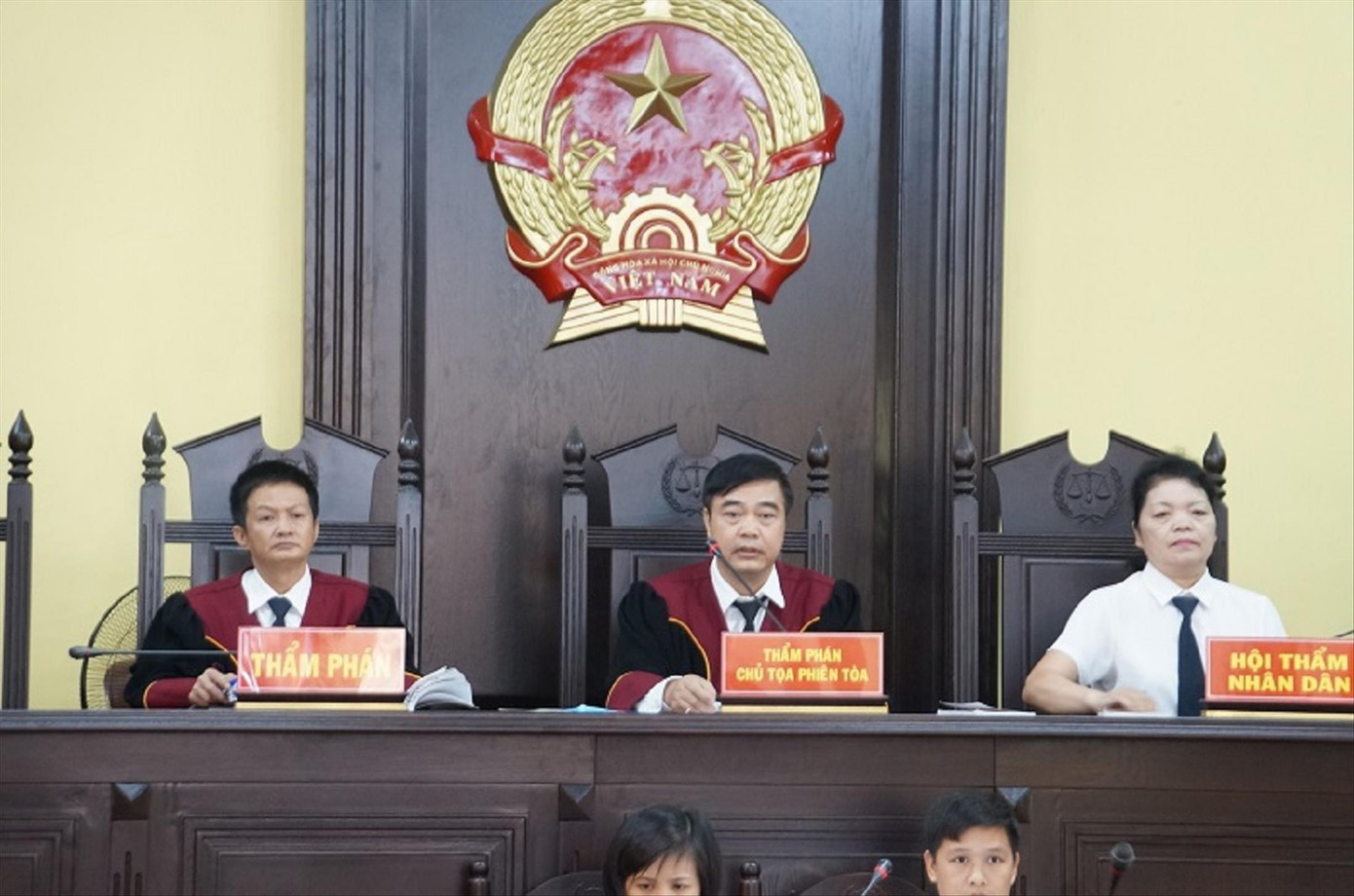 Xét xử gian lận điểm thi Sơn La: 'Cảm ơn' hàng tỷ đồng có phải hối lộ? ảnh 1