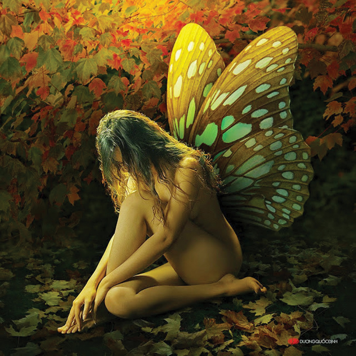 Ảnh khỏa thân ở Việt Nam: Đã 'cởi' nhưng chưa 'bung' ảnh 4