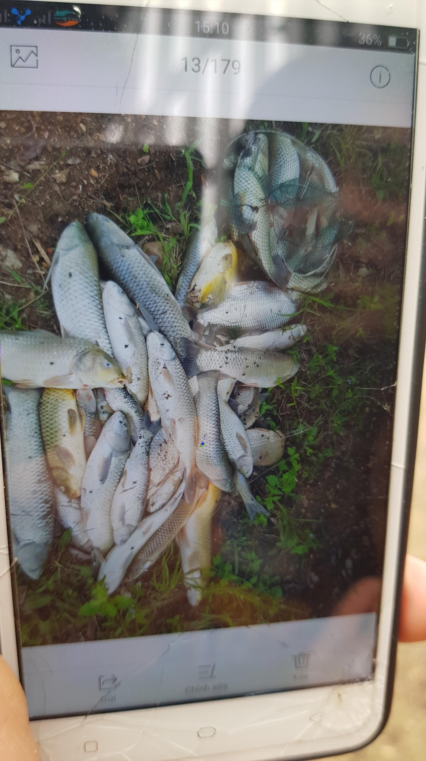 Dân Hà Nội khốn khổ vì nước có mùi lạ: Do chất thải từ đầu nguồn nước sông Đà? ảnh 1