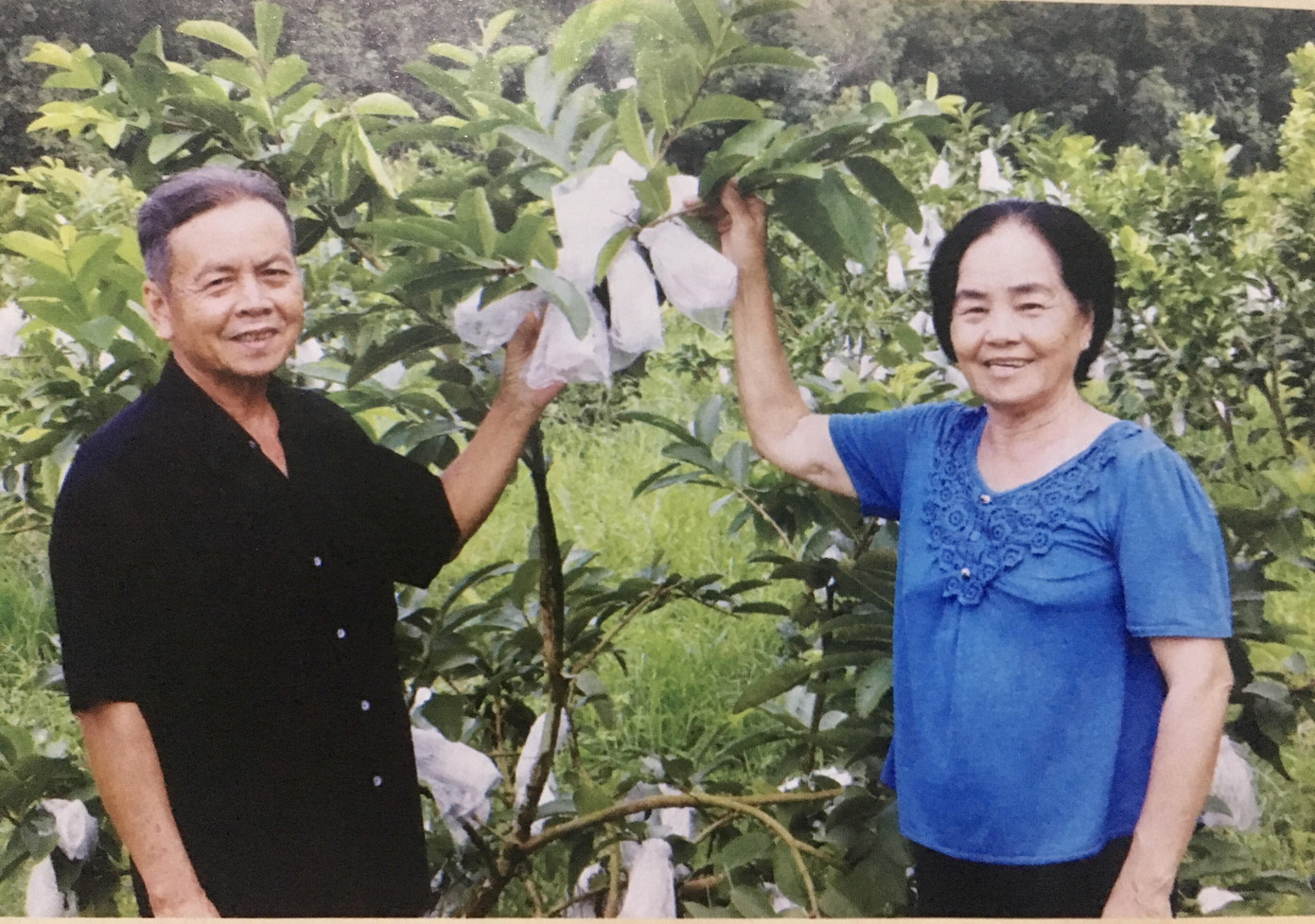 Bắt sỏi đá thành cơm ảnh 1