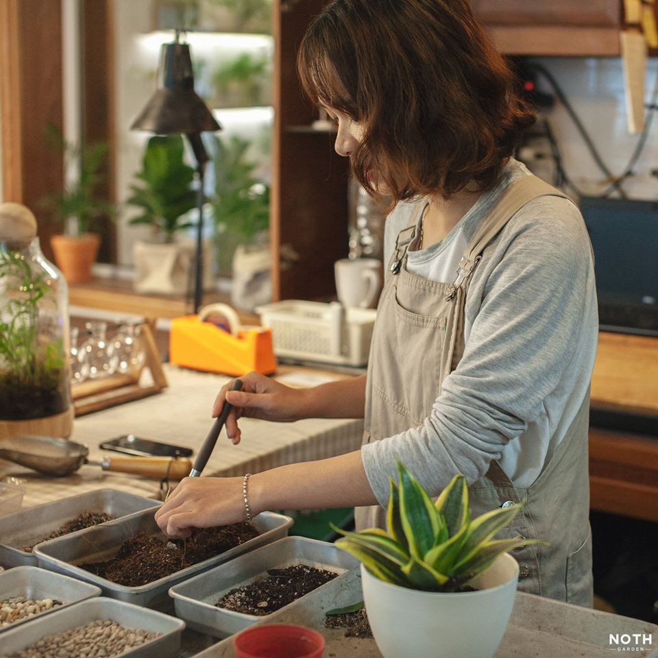  NOTH Garden - những người gieo mầm xanh trong lòng đô thị ảnh 2