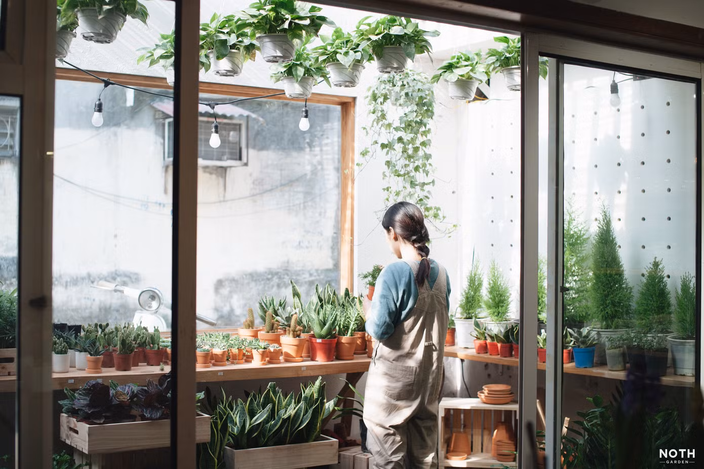  NOTH Garden - những người gieo mầm xanh trong lòng đô thị ảnh 3